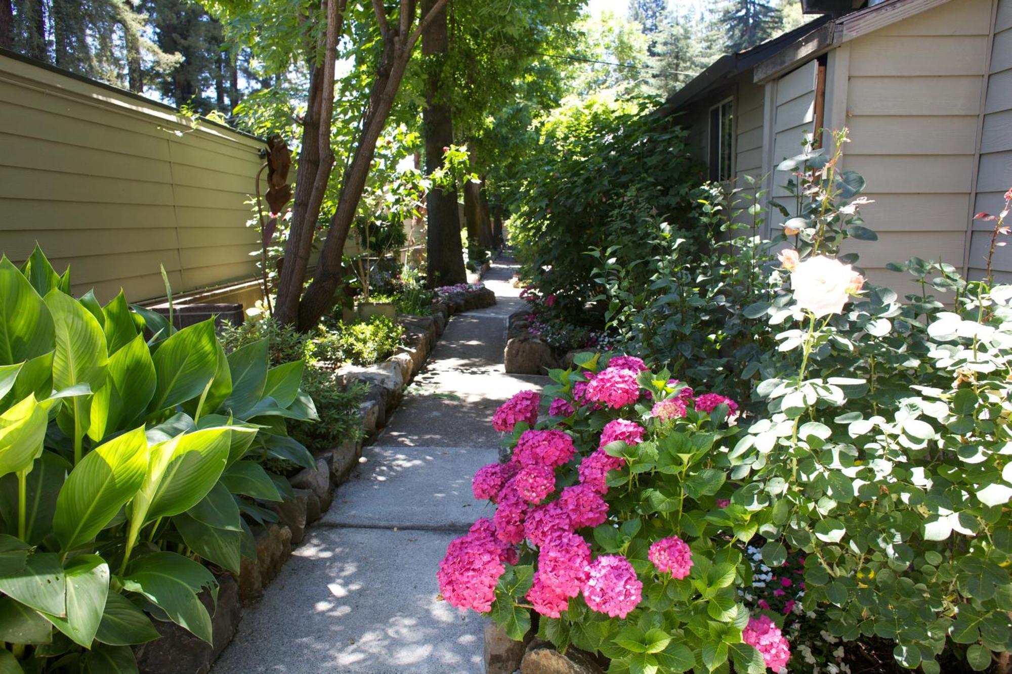 Cottages On River Road Guerneville Kültér fotó
